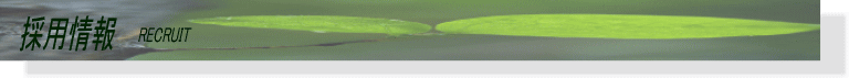 採用情報